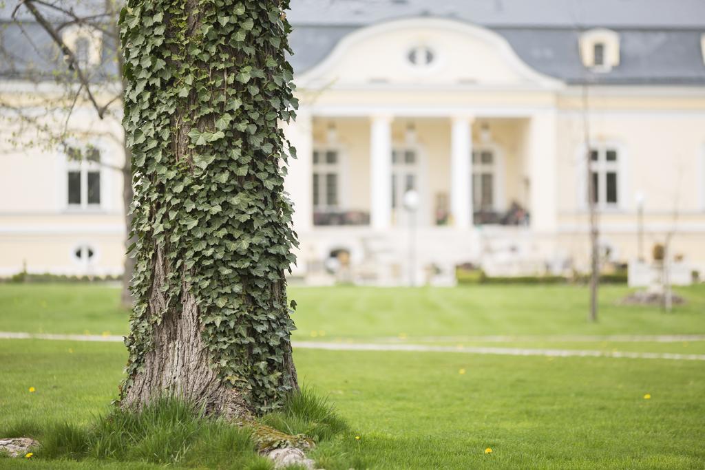 Amade Chateau Vrakúň Exteriör bild