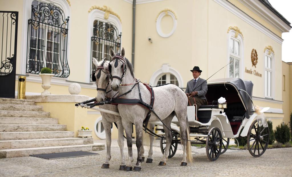 Amade Chateau Vrakúň Exteriör bild